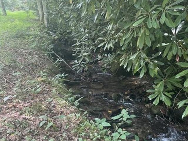 Land for sale in Bryson City, North Carolina