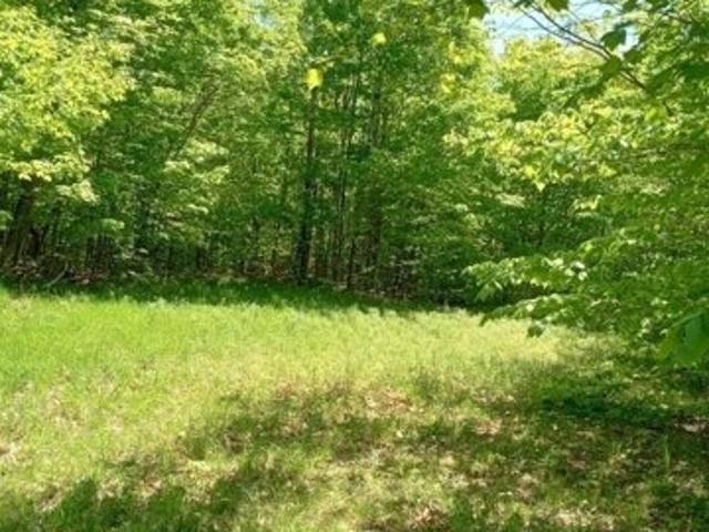 Land for sale in Maine