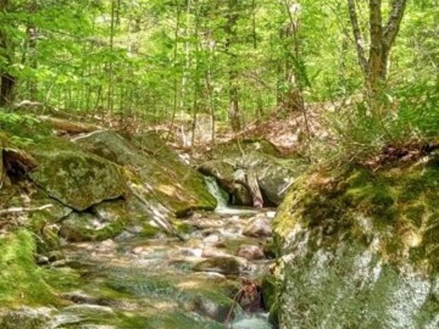 Land for sale in Maine