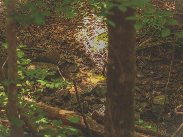 Land for sale in Tennessee