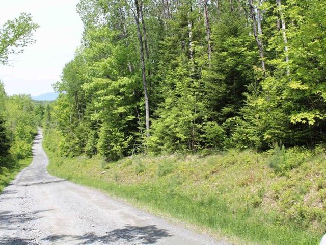 Land for sale in Concord, Vermont