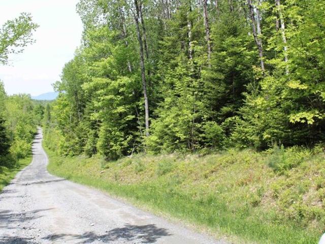 Land for sale in Concord, Vermont