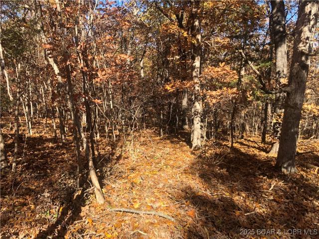 Land for sale in Missouri