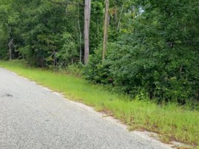 Land for sale in Waynesboro, Georgia