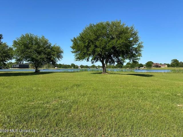 Land for sale in Poplarville, Mississippi