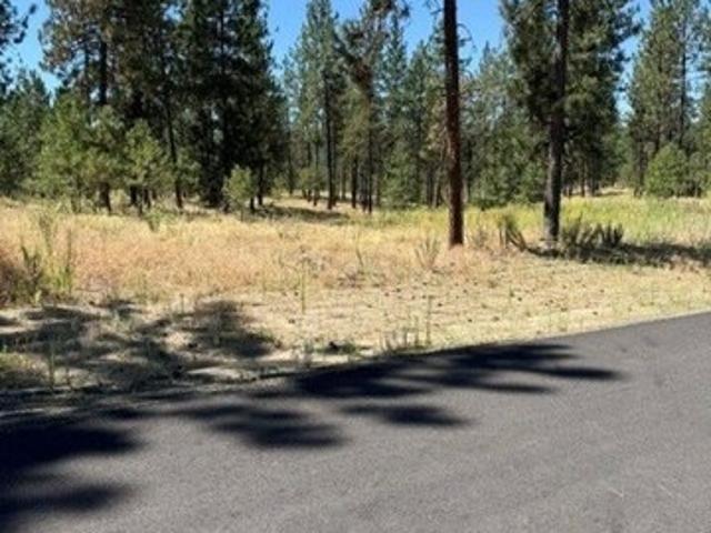 Land for sale in Nine Mile Falls, Washington