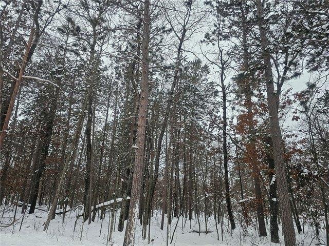 Land for sale in Swiss, Wisconsin