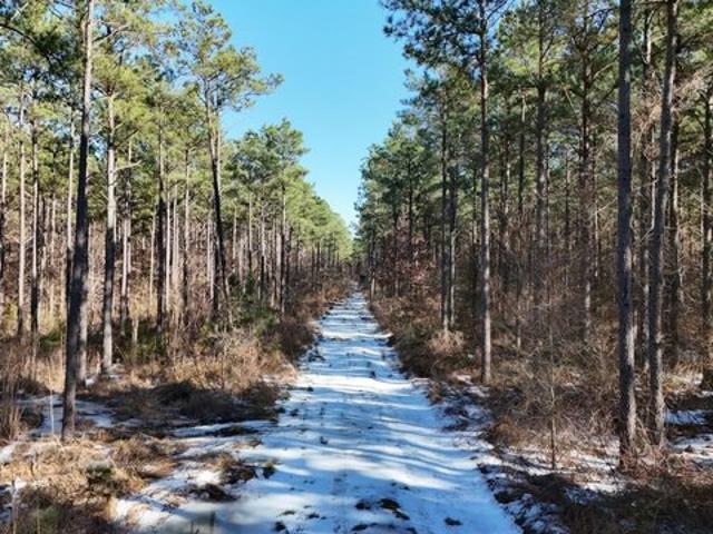 Land for sale in Morehouse, Louisiana