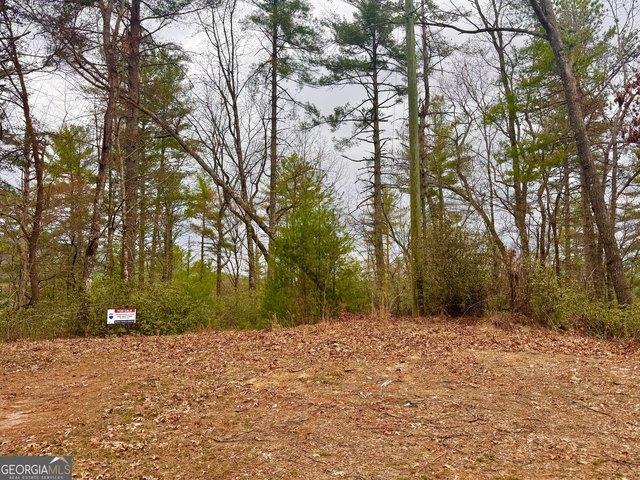 Land for sale in Georgia