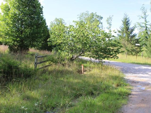 Land for sale in Tennessee