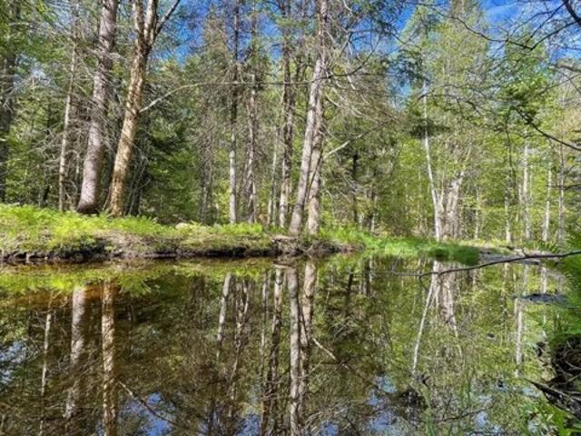 Land for sale in Jackman, Maine