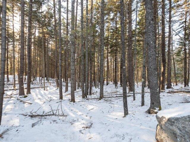 Land for sale in Southwest Harbor, Maine