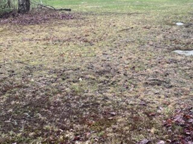 Land for sale in Burlington, Maine