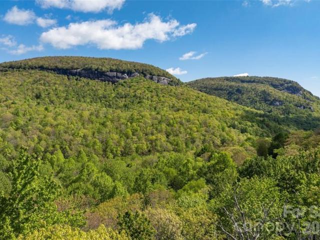 Land for sale in Transylvania, North Carolina