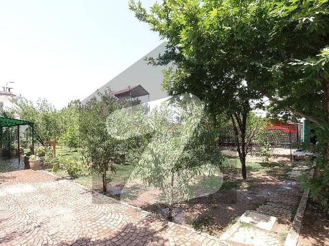 Property for rent in Islamabad