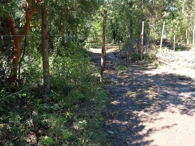 Longaví, fundo los laureles