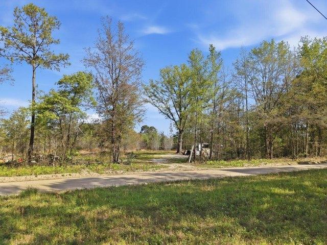 Land for sale in Bowman, South Carolina