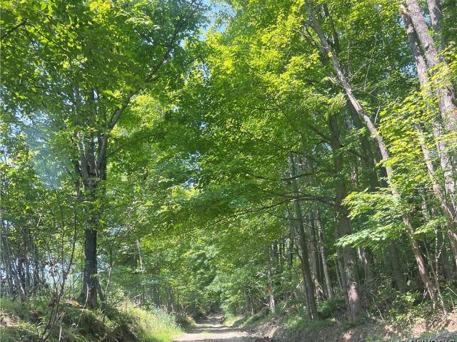 Land for sale in Village of Belmont, Allegany County