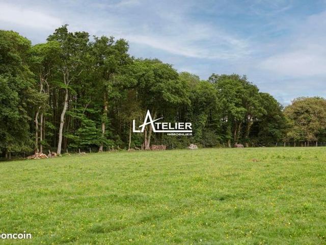 Maison vente à Châteaubriant-Ancenis, Vigneux-de-bretagne