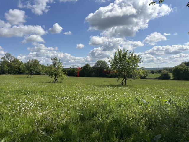 Maison vente à Mortagne-au-Perche, Moulins-la-marche