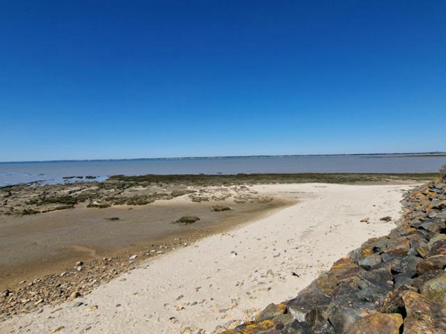 Maison vente à Les Sables-d'Olonne, Bouin
