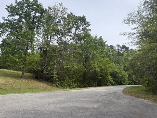 Land for sale in Saint Matthews, South Carolina