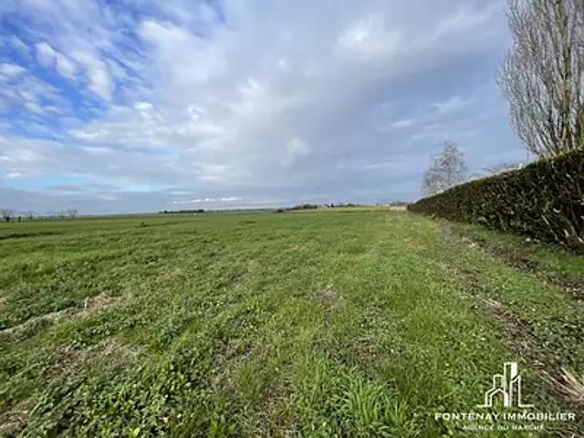 Terrain vente à Fontenay-le-Comte, Longèves