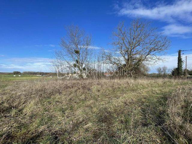 Terrain vente à Saint-Dizier, Longeville-sur-la-laines
