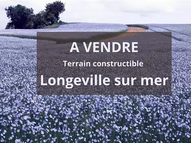 Terrain vente à Les Sables-d'Olonne, Longeville-sur-mer