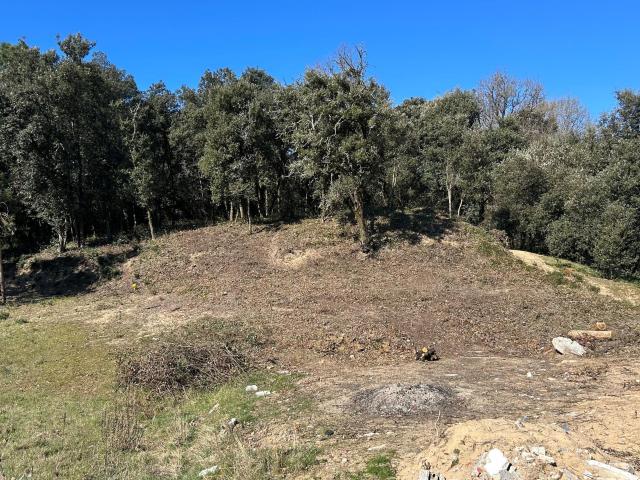 Terrain vente à France métropolitaine, Longeville-sur-mer