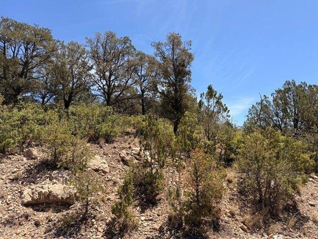 Land for sale in Timberon, New Mexico