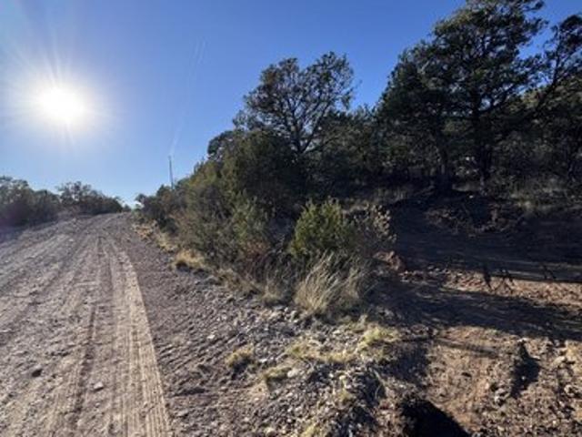 Land for sale in Timberon, New Mexico