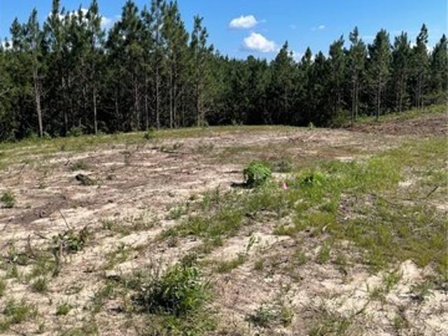 Land for sale in Alberta, Alabama
