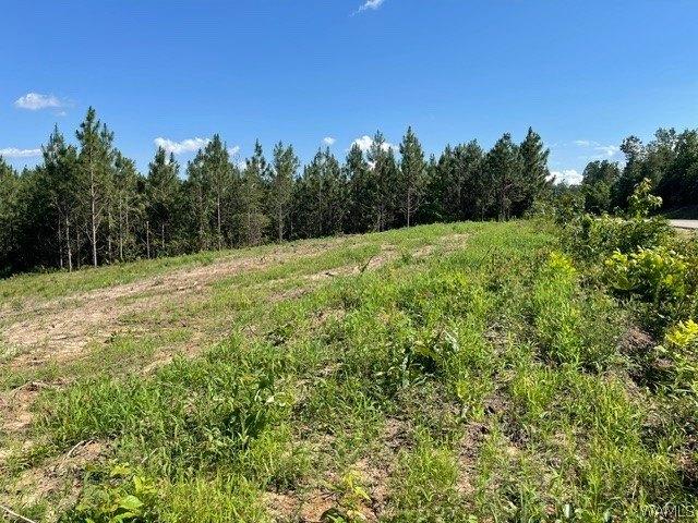 Land for sale in Alberta, Alabama