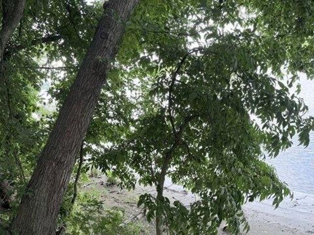 Land for sale in Hampden, Massachusetts