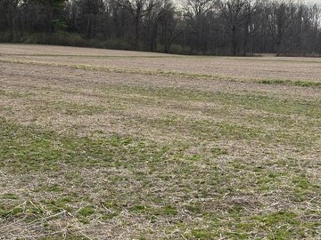 Land for sale in Sunbury, Ohio