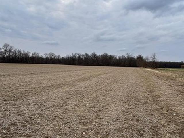 Land for sale in Sunbury, Ohio
