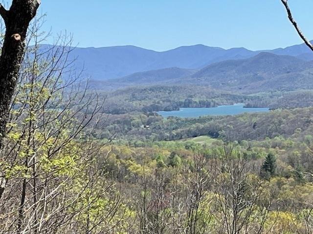 Land for sale in Hayesville, North Carolina