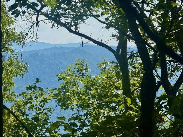 Land for sale in Sylva, Jackson County