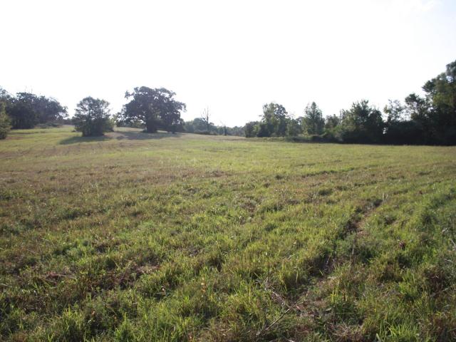 Land for sale in Nashville, Howard County