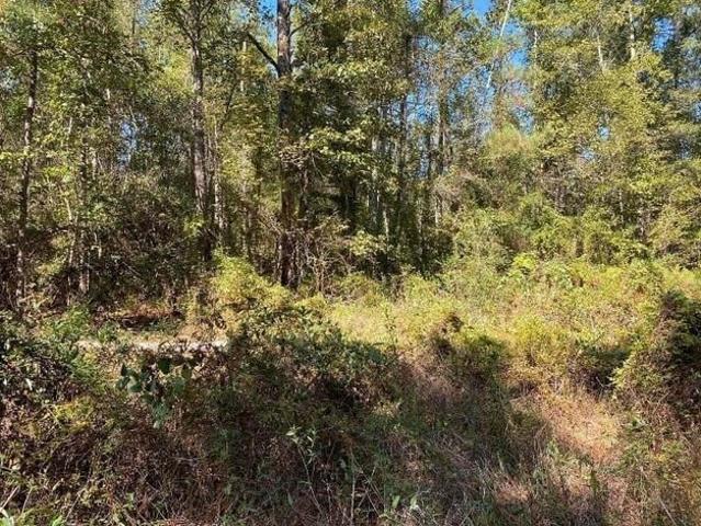 Land for sale in Louisiana