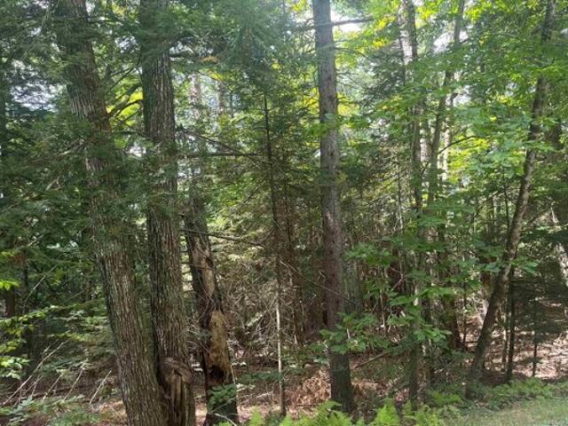 Land for sale in New Hampshire
