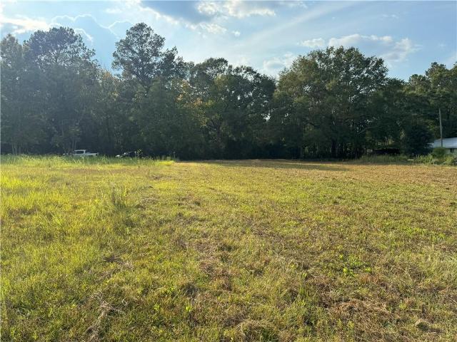 Land for sale in Mount Hermon, Louisiana