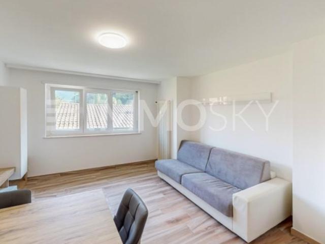 Wohnung kaufen in Losone, Tessin