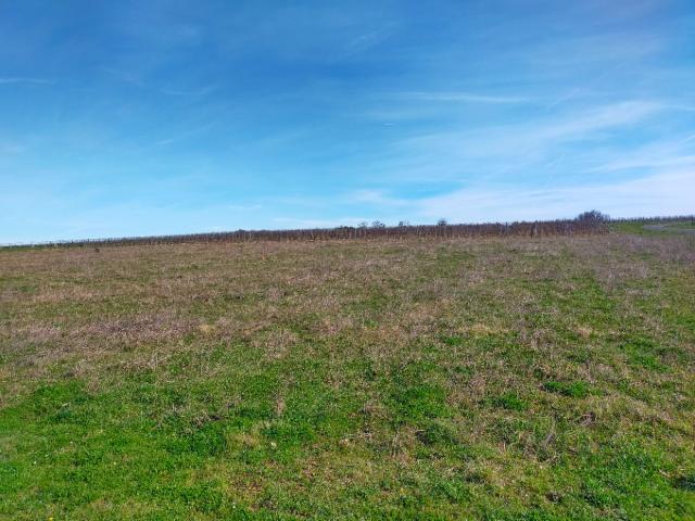 Terrain vente à Jonzac, Lonzac