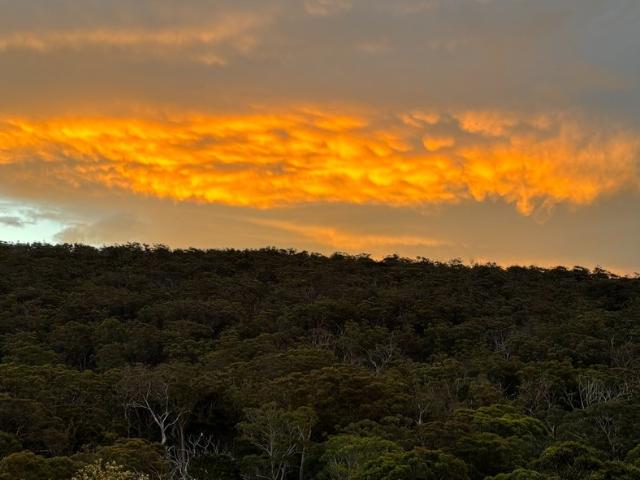 Apartment for sale in Mittagong, Wingecarribee Shire Council