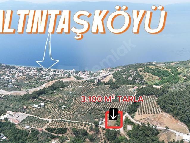 Mudanya, Bursa içerisinde satılık Arsa