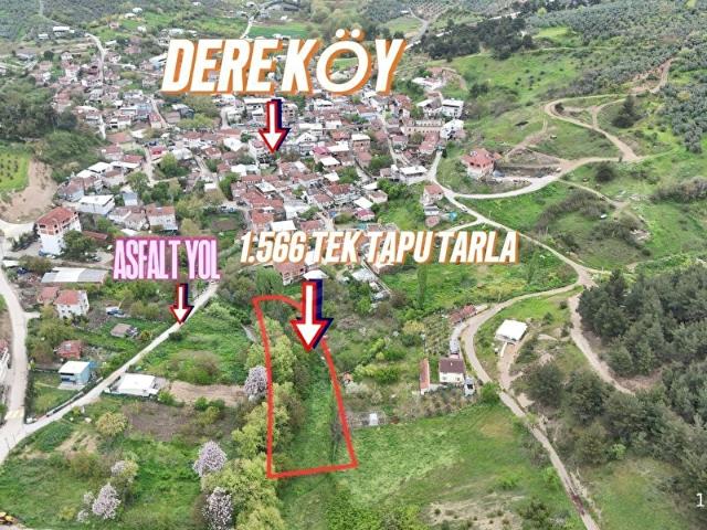 Mudanya, Bursa içerisinde satılık Arsa