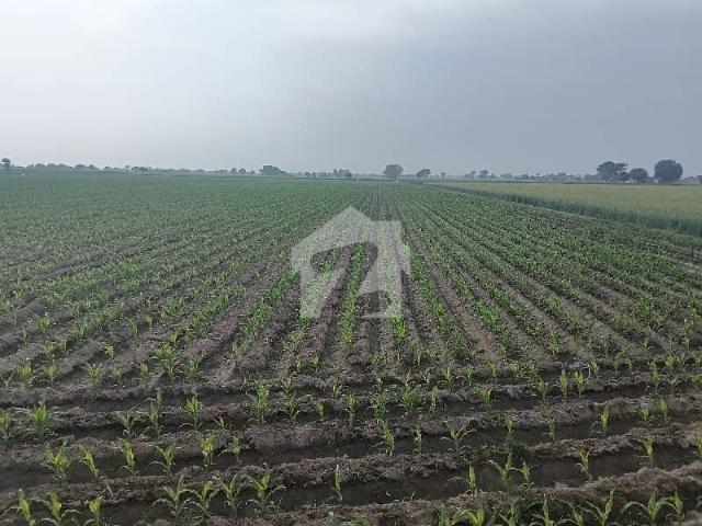 Land for sale in Multan, Islamabad Capital Territory