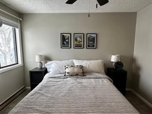 Room for rent in Fort Collins, Colorado